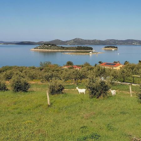 Studio Punta Pakostane Pakoštane Exterior foto